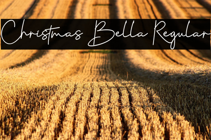 Christmas Bella Regular Example 2