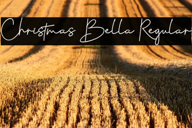 Christmas Bella Regular Example 2