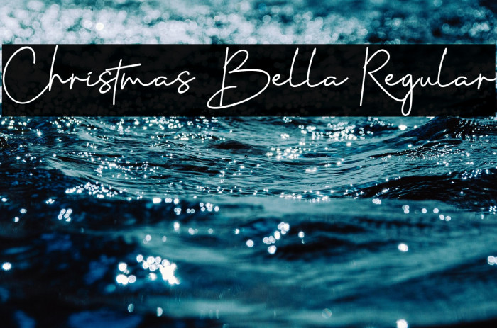 Christmas Bella Regular Example 3