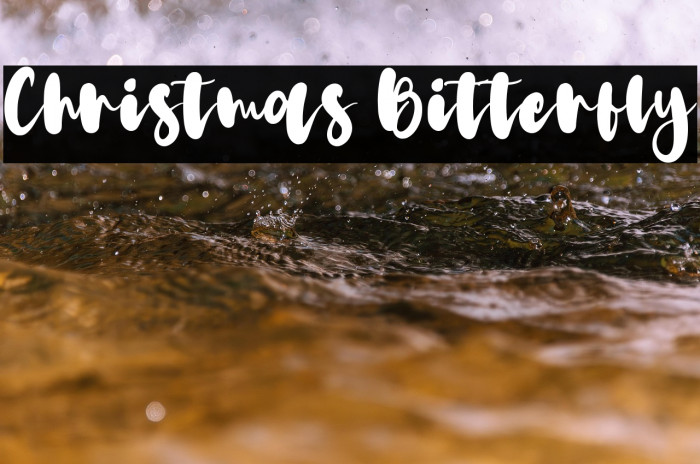 Christmas Bitterfly Example 3