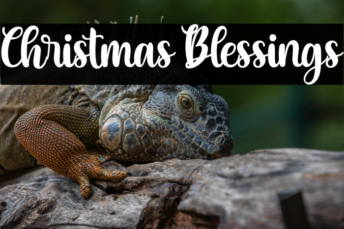 Christmas Blessings Example 1