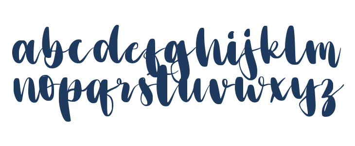 Christmas Bloom Lowercase