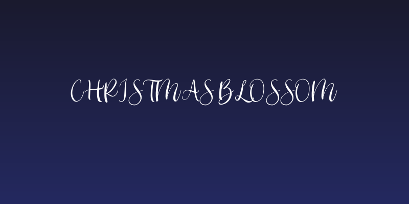 Christmas Blossom Social Header