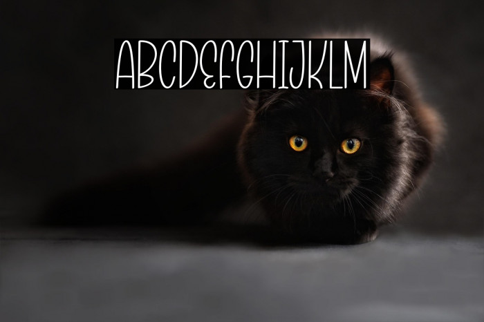 Christmas Blowing Example 1