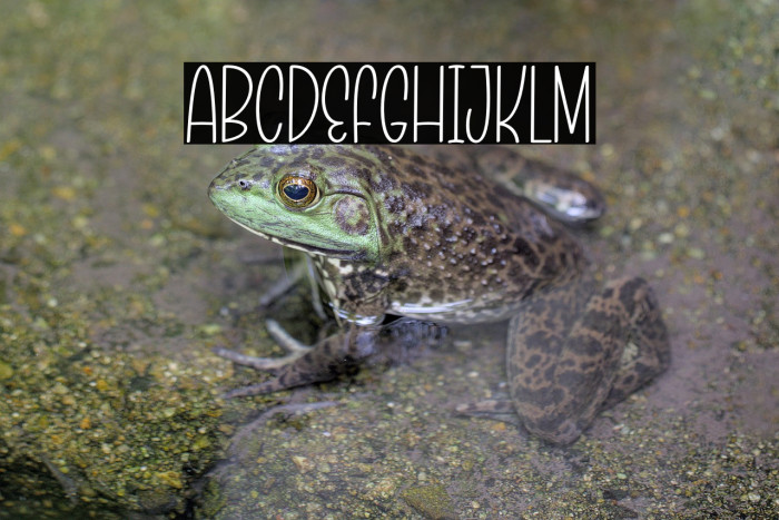 Christmas Blowing Example 3