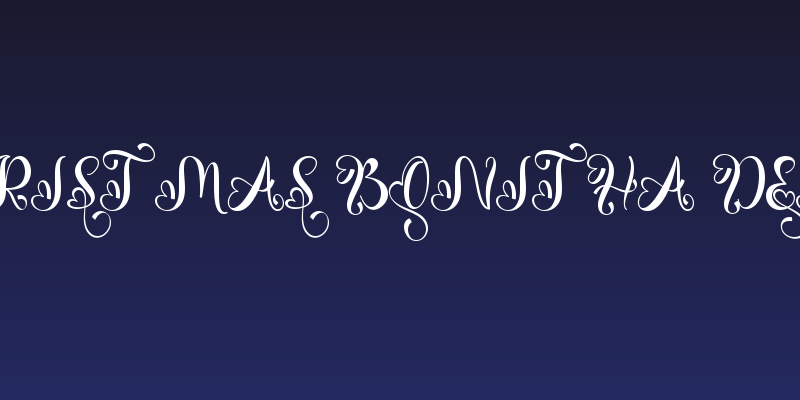 Christmas Bonitha Demo Social Header