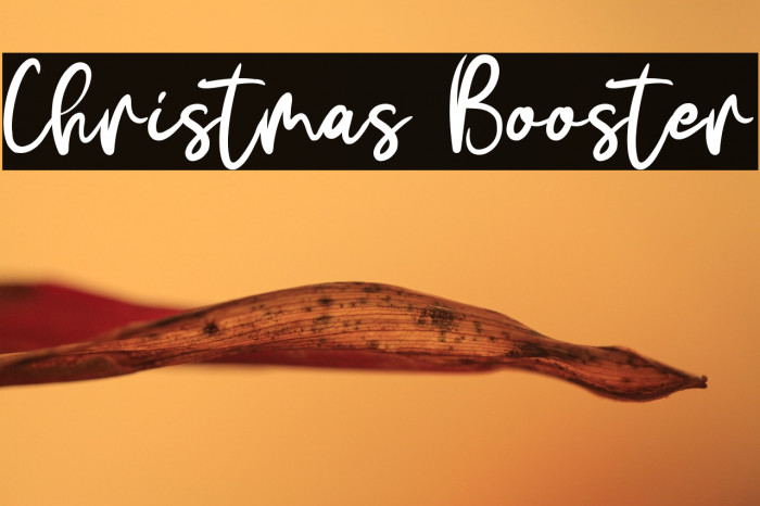 Christmas Booster Example 1