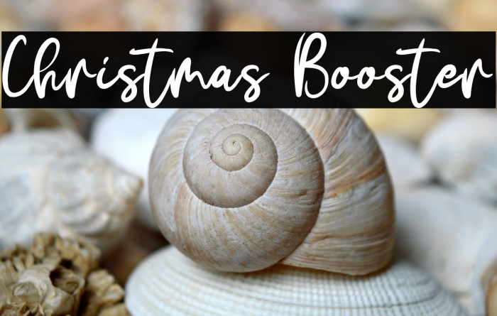 Christmas Booster Example 2