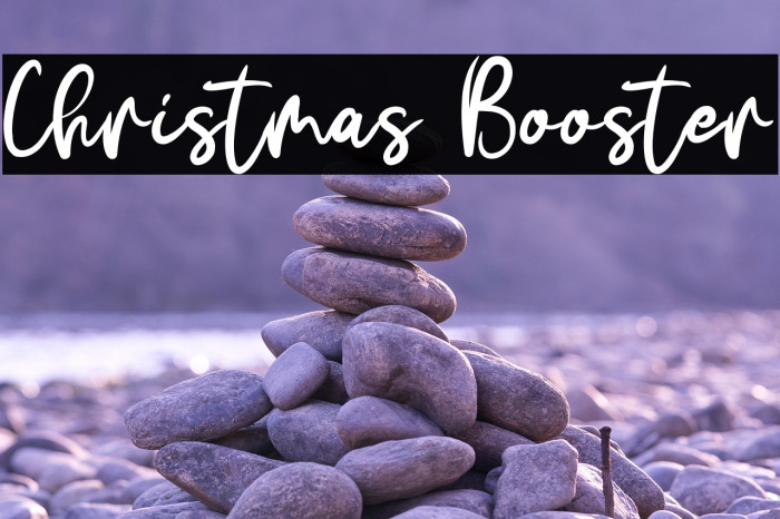 Christmas Booster Example 3