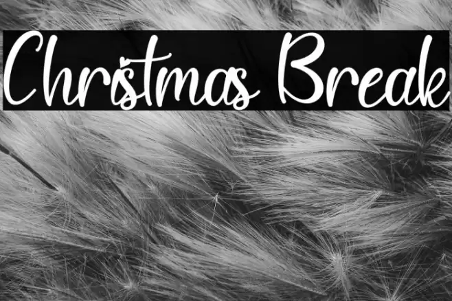 Christmas Break Font examples
