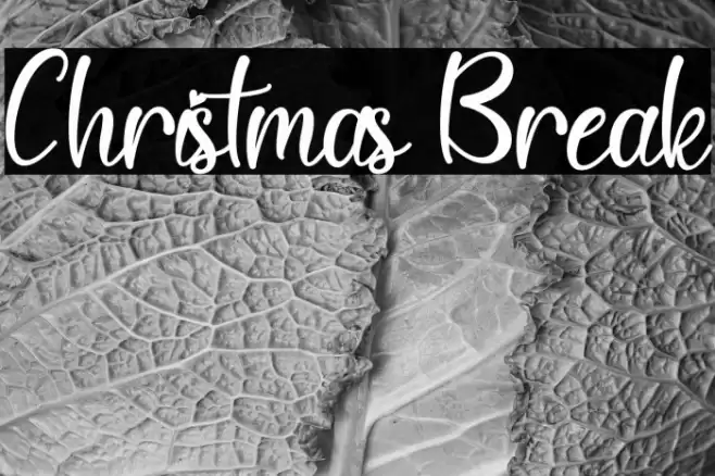 Christmas Break Font examples