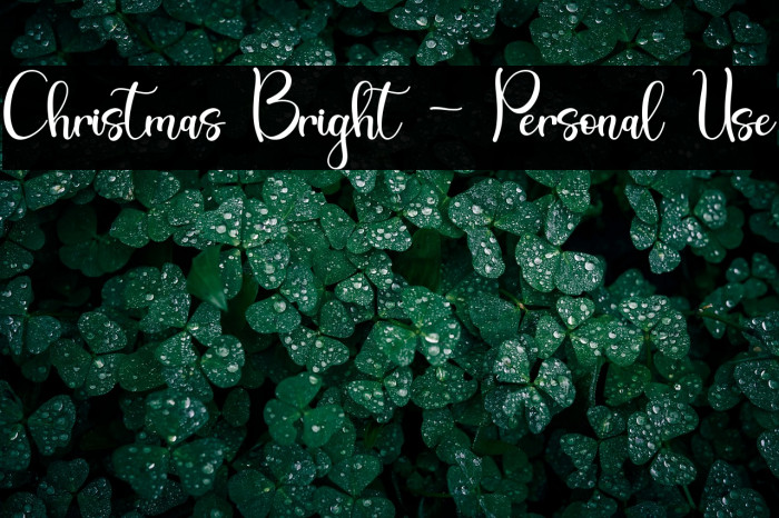 Christmas Bright - Personal Use Example 1
