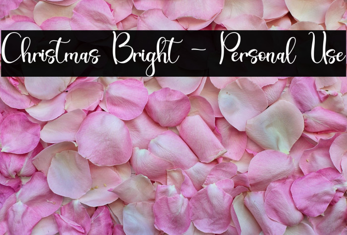 Christmas Bright - Personal Use Example 2