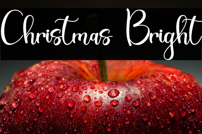 Christmas Bright Example 3