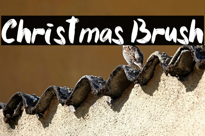 Christmas Brush Example 2