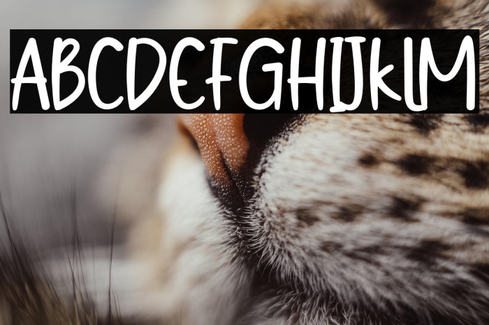 Christmas Cake Example 3