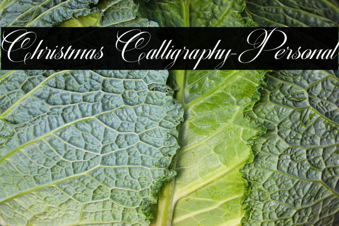 Christmas Calligraphy-Personal Example 1