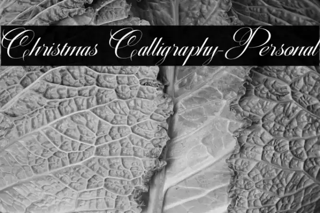 Christmas Calligraphy-Personal Шрифта examples