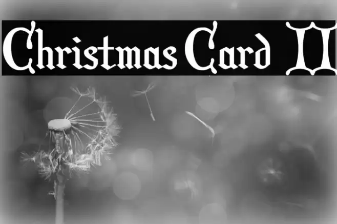 Christmas Card II Polices examples