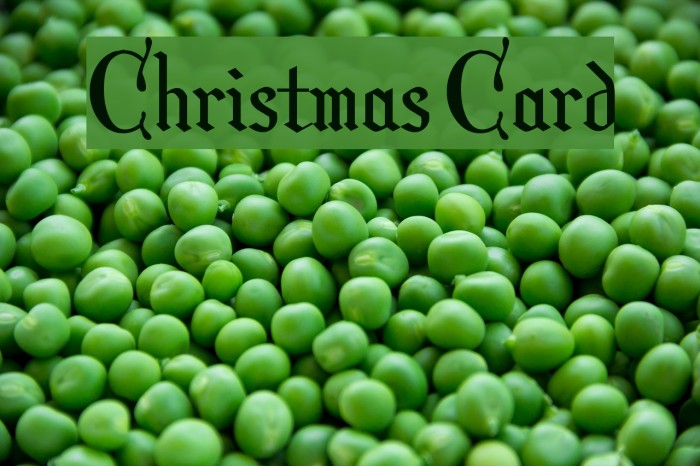 Christmas Card Font examples