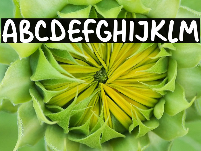 Christmas Cards xxx Example 1