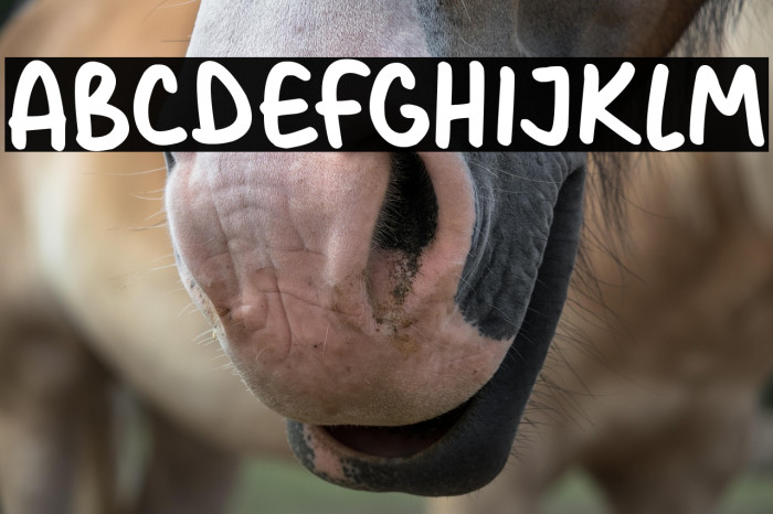 Christmas Cards xxx Example 3