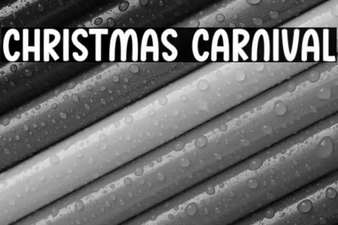 Christmas Carnival Polices examples