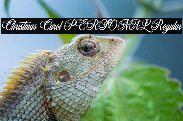 Christmas Carol PERSONAL Regular Example 3