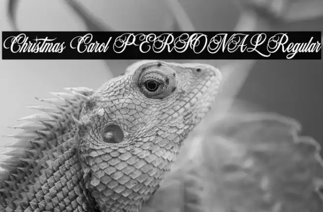 Christmas Carol PERSONAL Regular Font examples