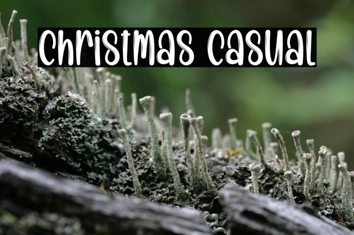 Christmas Casual Example 2