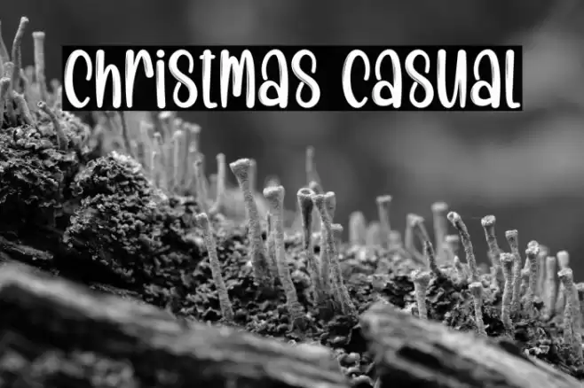 Christmas Casual 字体 examples