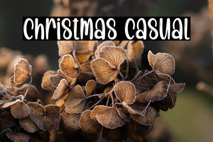 Christmas Casual Example 3