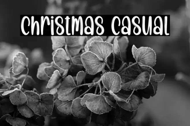 Christmas Casual 字体 examples