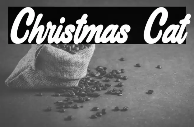 Christmas Cat Font examples