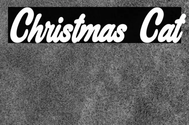 Christmas Cat Font examples