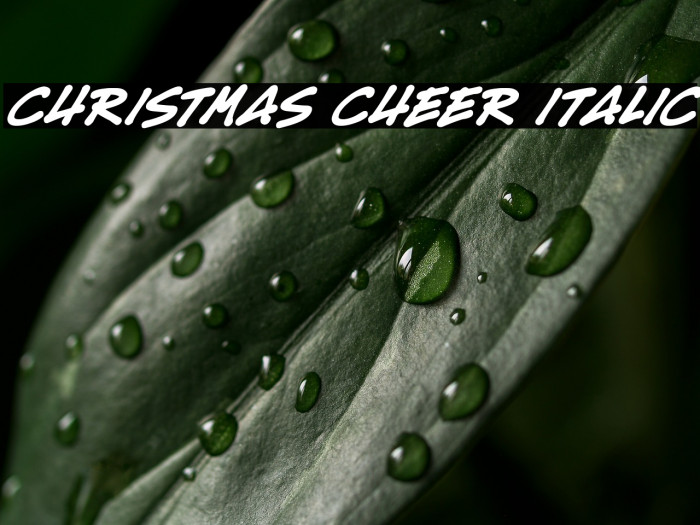 Christmas Cheer Italic Example 3