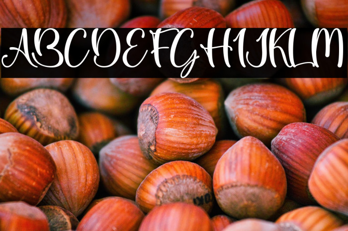 Christmas Cheer - Personal Use Example 2