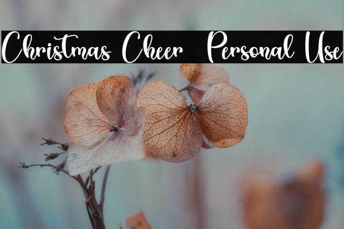 Christmas Cheer - Personal Use Example 1