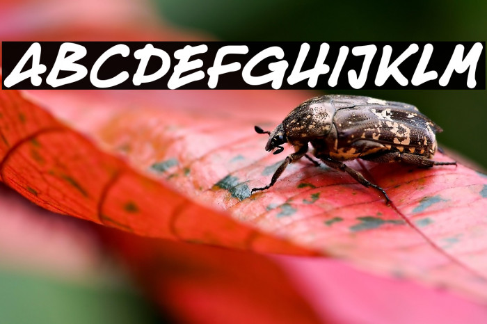 Christmas Cheer Example 3