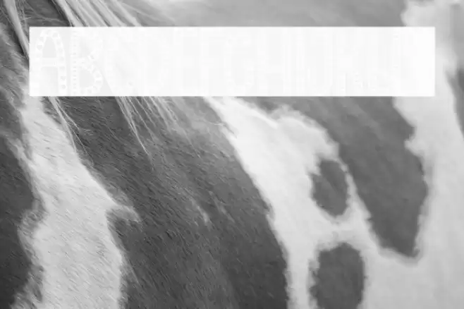 Christmas Cloud Font examples