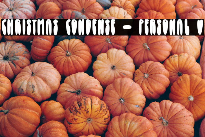 Christmas Condense - Personal U Example 1
