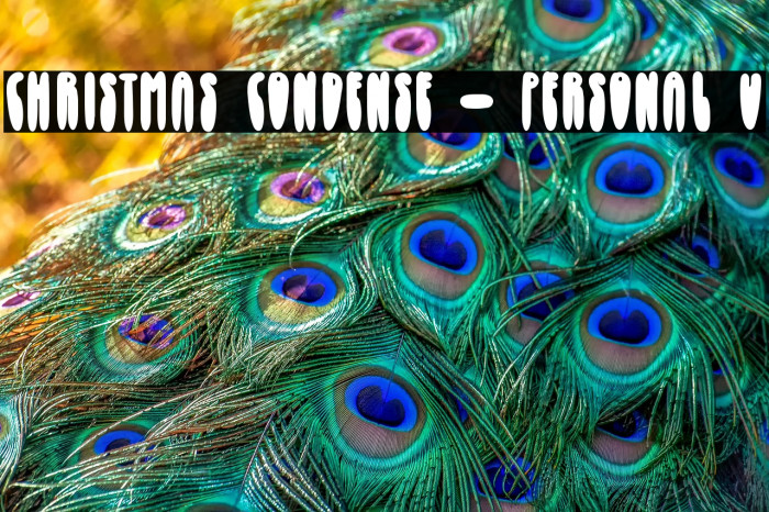 Christmas Condense - Personal U Example 3