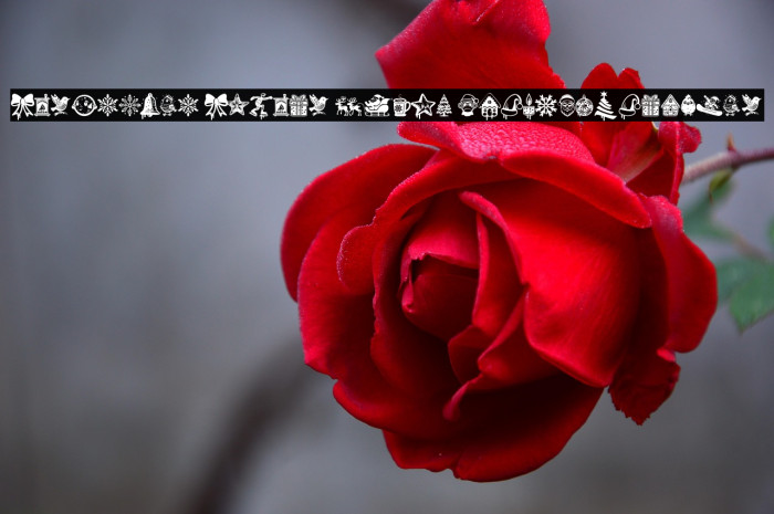 Christmas Cypher Icon PERSONAL Regular Example 2