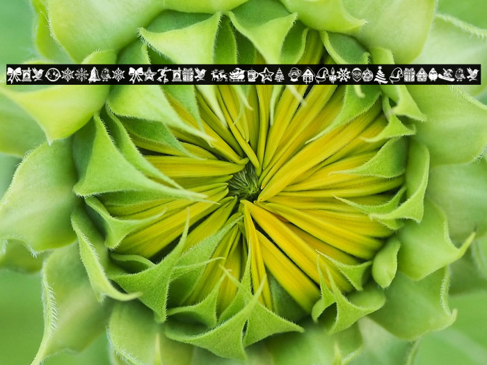 Christmas Cypher Icon PERSONAL Regular Example 3