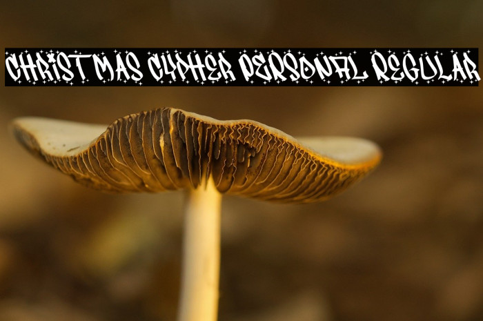 Christmas Cypher PERSONAL Regular Example 3