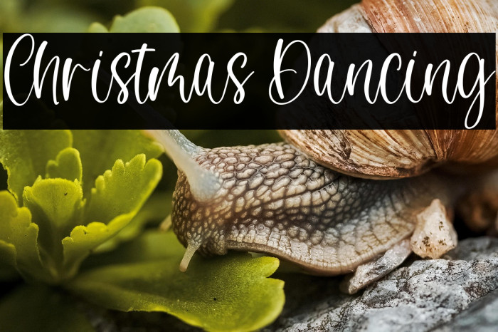 Christmas Dancing Example 1