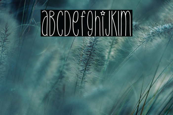 Christmas Day Example 2