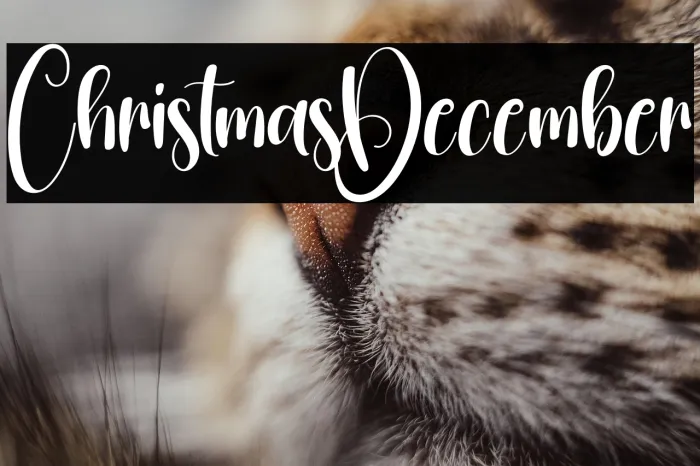 Christmas December Example 3