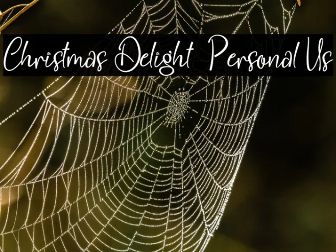 Christmas Delight - Personal Us Example 1
