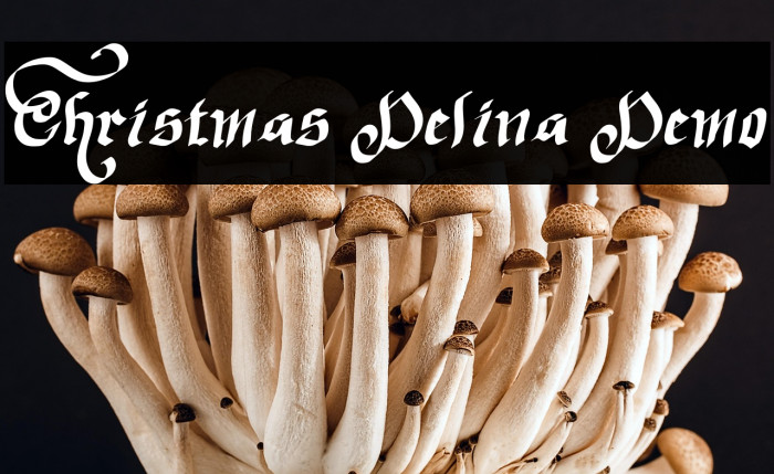 Christmas Delina Demo Example 3